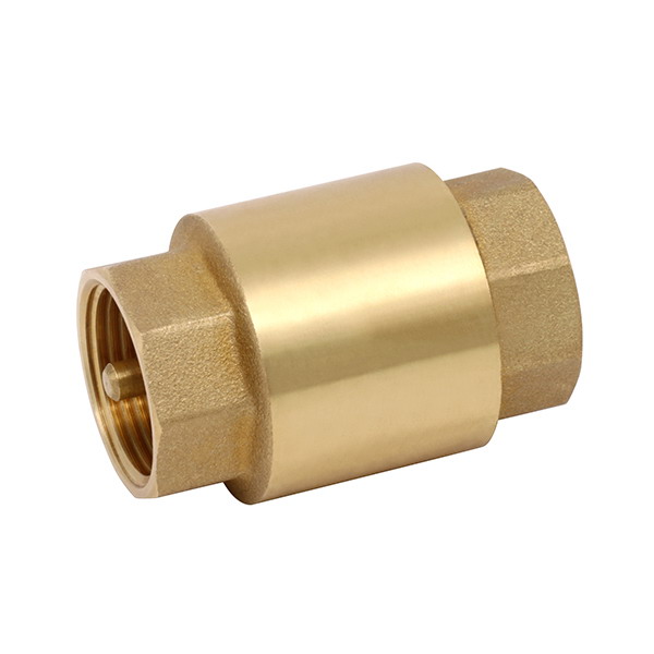  OTHER VALVES_ Brass Spring Check Valve with Brass valve core_Art.TS 2132G